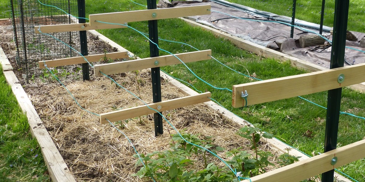 How to (Re)Build a Raspberry Trellis