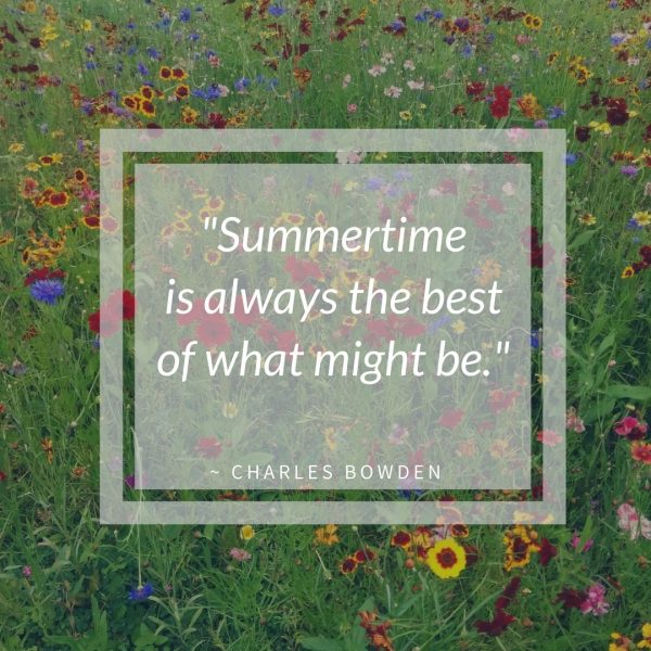 Summertime Quote | Horseradish & Honey