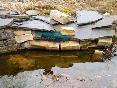 Koi pond wall falling in
